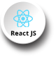 reactjs